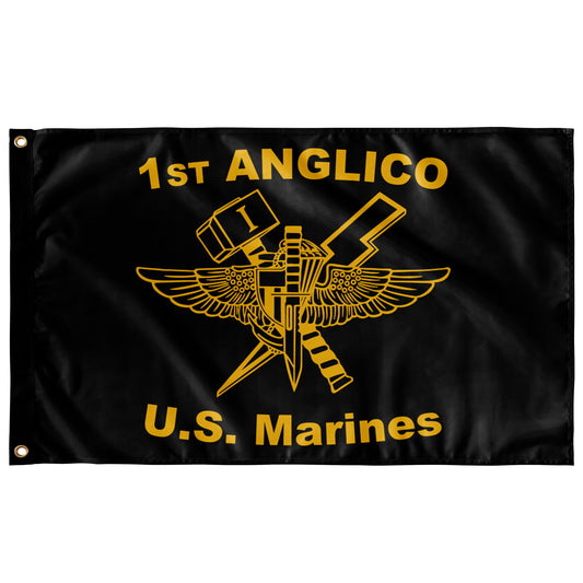 1st Air Naval Gunfire Liaison Company | ANGLICO | US Marines