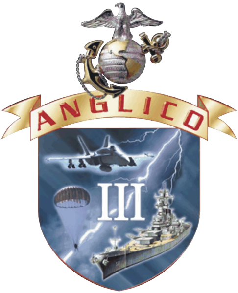 3d ANGLICO | ANGLICO Shirts, Flags, and Hoodies