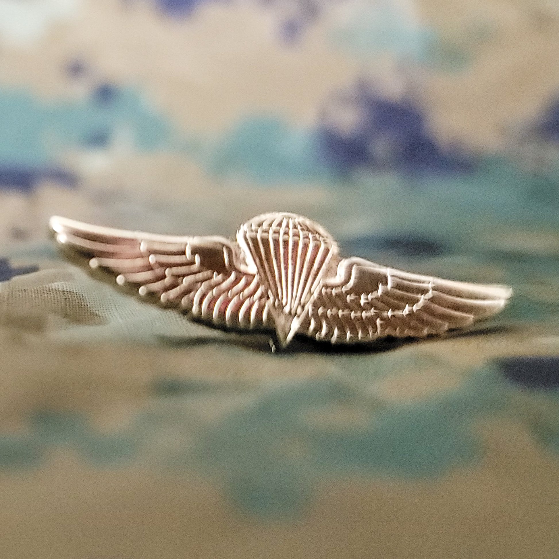 gold jump wings lapel pin
